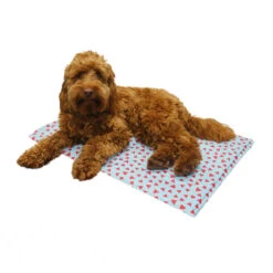 Rosewood Watermelon Print Rectangular Dog Cool Mat -Danish Design || Scruffs || Great&Small Sales 02505 ls1