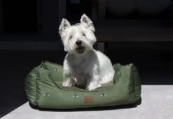 Joules Let Sleeping Dogs Lie Box Bed Olive Bee Print 9 Joules Let Sleeping Dogs Lie Box Bed Olive Bee Print -Danish Design || Scruffs || Great&Small Sales 055890559005591LS2