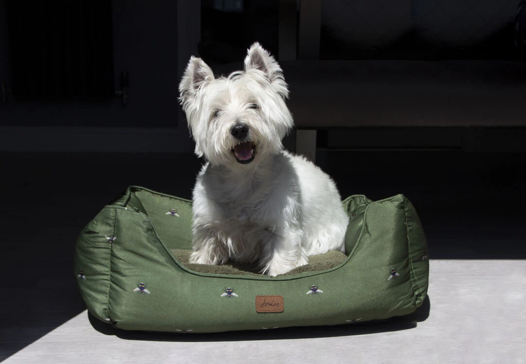 Joules Let Sleeping Dogs Lie Box Bed Olive Bee Print 5 Joules Let Sleeping Dogs Lie Box Bed Olive Bee Print - Image 3