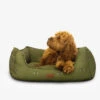 Joules Let Sleeping Dogs Lie Box Bed Olive Bee Print 1 Joules Let Sleeping Dogs Lie Box Bed Olive Bee Print -Danish Design || Scruffs || Great&Small Sales 055890559005591LSGrey