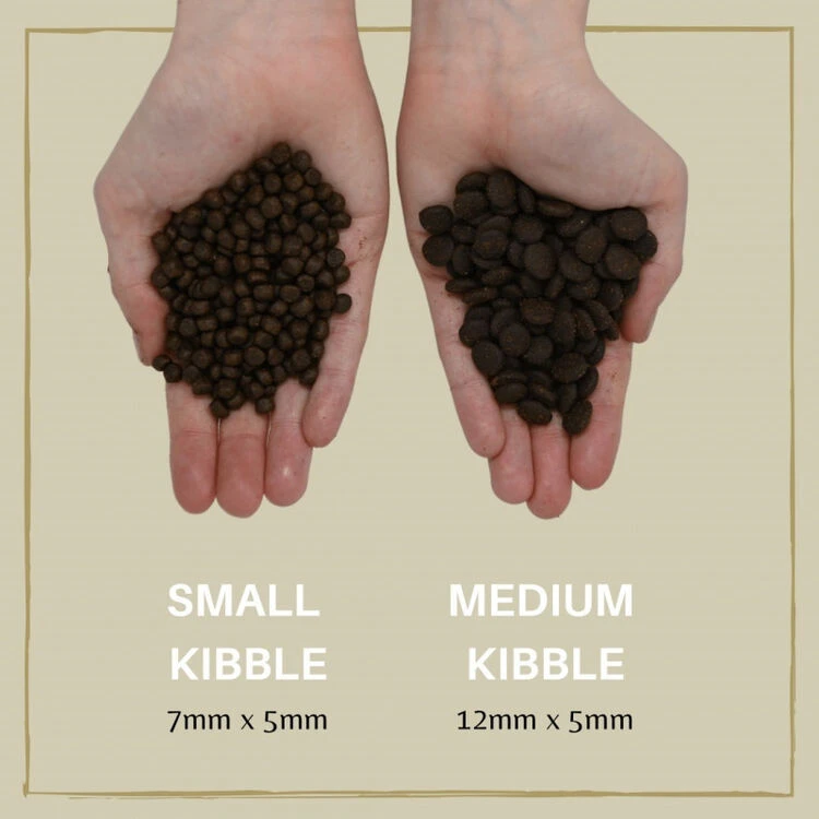 Eden 80/20 Puppy Cuisine Small Kibble 5 Eden 80/20 Puppy Cuisine Small Kibble - Image 3