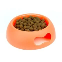 Great&Small Plastic Bowl Coral