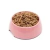 Great&Small Rose Pink Melamine Bowl 2 Great&Small Rose Pink Melamine Bowl -Danish Design || Scruffs || Great&Small Sales 212870web