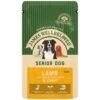 JAMES WELLBELOVED Pouches Senior Lamb 150g 2 JAMES WELLBELOVED Pouches Senior Lamb 150g -Danish Design || Scruffs || Great&Small Sales 433164 1