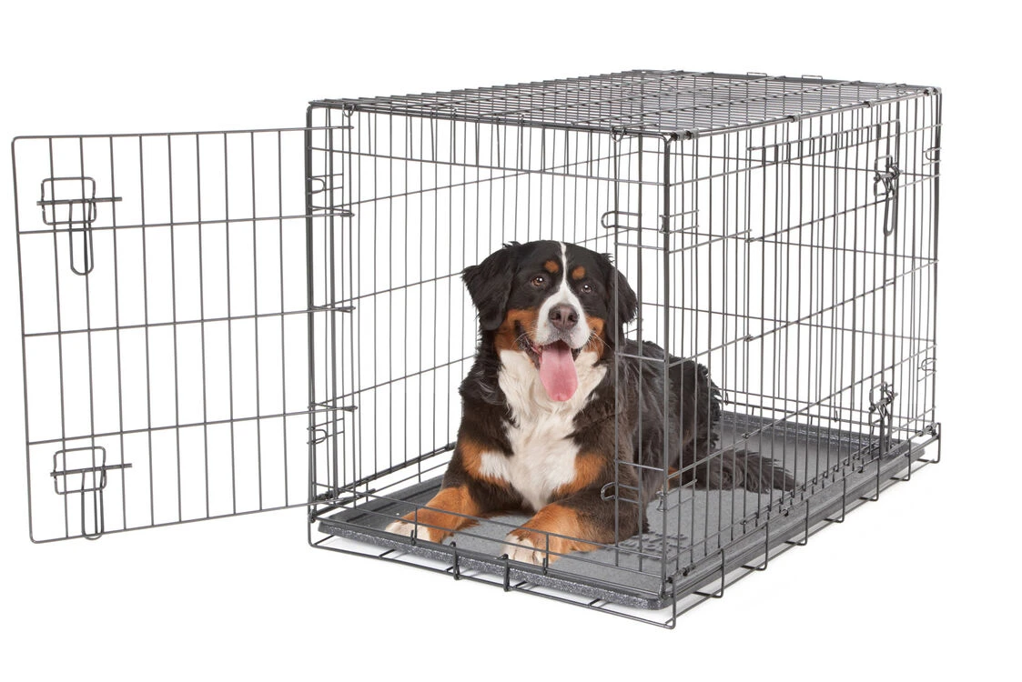 Dogit 2 Door Wire Dog Crate Black 4 Dogit 2 Door Wire Dog Crate Black - Image 2