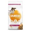 Iams Dog Senior & Mature 7+ 1 Iams Dog Senior & Mature 7+ -Danish Design || Scruffs || Great&Small Sales 492433
