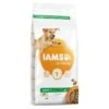 Iams Vitality Adult Large Dog Food With Lamb -Danish Design || Scruffs || Great&Small Sales 492466