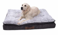 Petface Ultimate Luxury Memory Foam Bed -Danish Design || Scruffs || Great&Small Sales 59b2b3cccc4a16.50988949