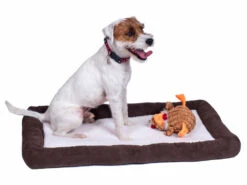 Petface Sams Luxury Crate Bolster Mattress 17 Petface Sams Luxury Crate Bolster Mattress -Danish Design || Scruffs || Great&Small Sales 5a1c31e10b2738.67247035