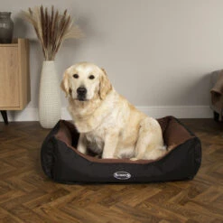 Scruffs® Expedition Box Bed - Chocolate Brown -Danish Design || Scruffs || Great&Small Sales 667489LS1