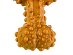 TastyBone Trio Chew Peanut Butter 8 TastyBone Trio Chew Peanut Butter -Danish Design || Scruffs || Great&Small Sales 820193 tastybone nylon trio peanut butter close up