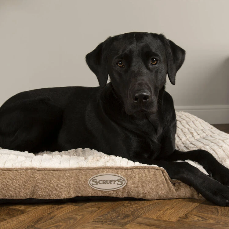 Scruffs® Ellen Dog Mattress - Tan 4 Scruffs® Ellen Dog Mattress - Tan - Image 2