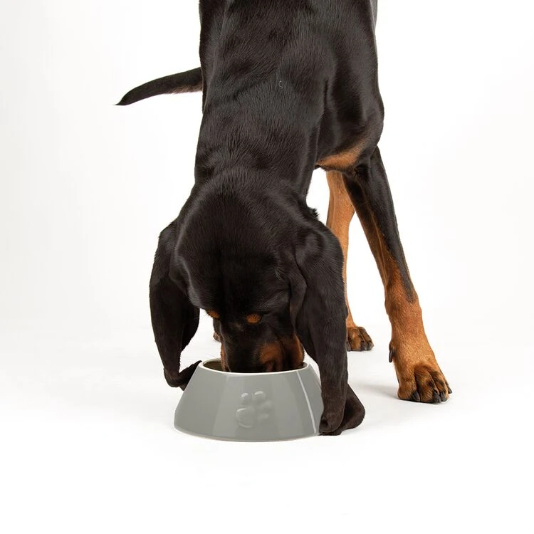 Scruffs® Classic Long Eared Dog Bowl Grey 4 Scruffs® Classic Long Eared Dog Bowl Grey - Image 2