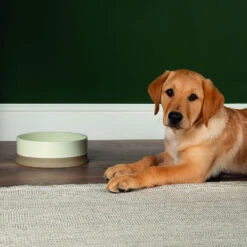 Scruffs® Scandi Non Tip Bowl Cream 7 Scruffs® Scandi Non Tip Bowl Cream -Danish Design || Scruffs || Great&Small Sales 823205 2 1