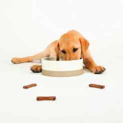 Scruffs® Scandi Non Tip Bowl Cream 6 Scruffs® Scandi Non Tip Bowl Cream -Danish Design || Scruffs || Great&Small Sales 823205 3 1