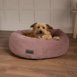 Scruffs® Oslo Ring Dog Bed - Blush Pink 7 Scruffs® Oslo Ring Dog Bed - Blush Pink -Danish Design || Scruffs || Great&Small Sales 8249053