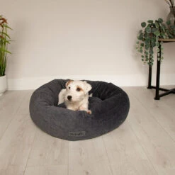 Scruffs® Oslo Ring Dog Bed - Stone Grey -Danish Design || Scruffs || Great&Small Sales 8249123