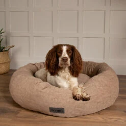 Scruffs® Oslo Ring Pet Bed - Desert Sand -Danish Design || Scruffs || Great&Small Sales 8249292