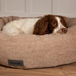 Scruffs® Oslo Ring Pet Bed - Desert Sand -Danish Design || Scruffs || Great&Small Sales 8249293
