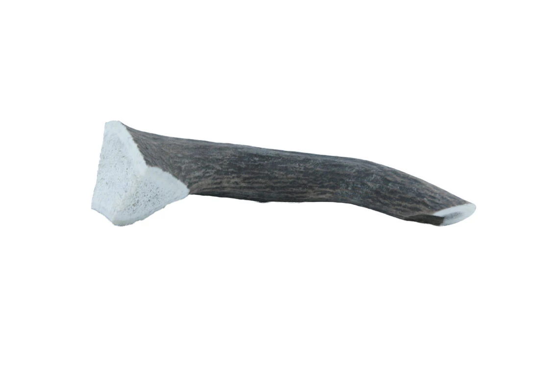 The Wild Antler Co. Full Wild Antler Dog Chew 3 The Wild Antler Co. Full Wild Antler Dog Chew