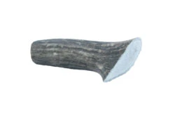 The Wild Antler Co. Full Wild Antler Dog Chew 10 The Wild Antler Co. Full Wild Antler Dog Chew -Danish Design || Scruffs || Great&Small Sales AF001 C