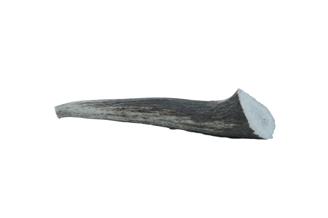 The Wild Antler Co. Full Wild Antler Dog Chew 5 The Wild Antler Co. Full Wild Antler Dog Chew - Image 3