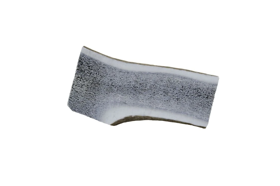 The Wild Antler Co. Half Wild Antler Dog Chew 8 The Wild Antler Co. Half Wild Antler Dog Chew - Image 6