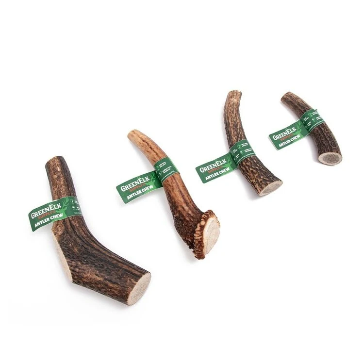 Green Elk Full Antler 3 Green Elk Full Antler