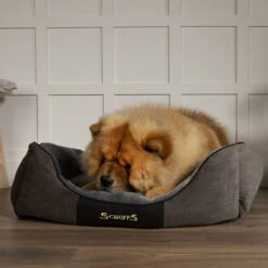 Scruffs® Chester Box Dog Bed - Graphite Grey 8 Scruffs® Chester Box Dog Bed - Graphite Grey -Danish Design || Scruffs || Great&Small Sales GraphiteChesterBoxBedLS2