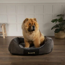 Scruffs® Chester Box Dog Bed - Graphite Grey 9 Scruffs® Chester Box Dog Bed - Graphite Grey -Danish Design || Scruffs || Great&Small Sales GraphiteChesterBoxBedLS3