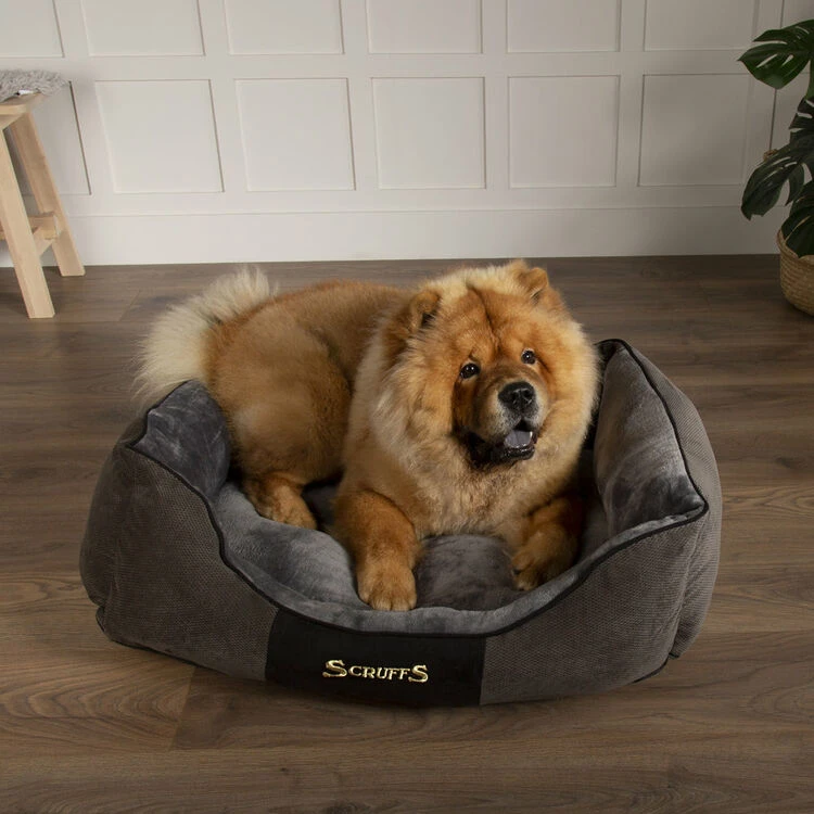 Scruffs® Chester Box Dog Bed - Graphite Grey 4 Scruffs® Chester Box Dog Bed - Graphite Grey - Image 2