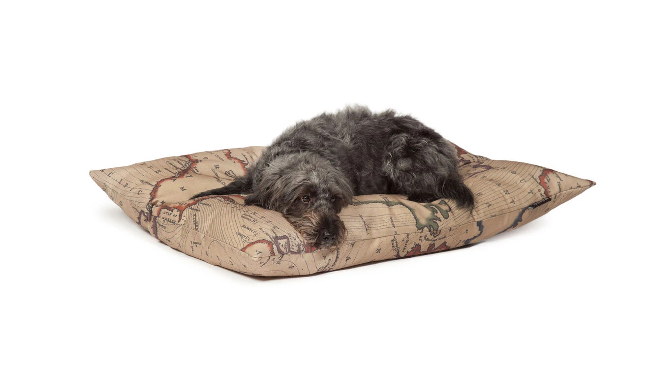 Danish Design Vintage Maps Deep Dog Duvet 4 Danish Design Vintage Maps Deep Dog Duvet - Image 2