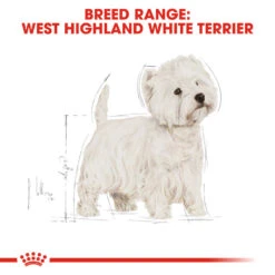 ROYAL CANIN® West Highland White Terrier Adult Dry Dog Food -Danish Design || Scruffs || Great&Small Sales aduswhzfmmajlplymj5y