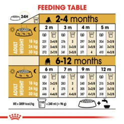 ROYAL CANIN® Bulldog Puppy Dry Food -Danish Design || Scruffs || Great&Small Sales av4l621cvzvrftubyixl