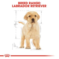 ROYAL CANIN® Labrador Retriever Puppy Dry Food 16 ROYAL CANIN® Labrador Retriever Puppy Dry Food -Danish Design || Scruffs || Great&Small Sales ay8yqjbqe5f2bjvsysxf