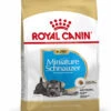 ROYAL CANIN® Miniature Schnauzer Puppy Dry Food -Danish Design || Scruffs || Great&Small Sales b3gofh7vf1zfzrauthjw