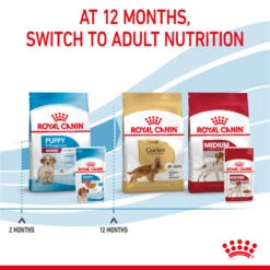 ROYAL CANIN® Medium Puppy In Gravy Wet Food 22 ROYAL CANIN® Medium Puppy In Gravy Wet Food -Danish Design || Scruffs || Great&Small Sales bdp6c7viaih1ll7o7sf5