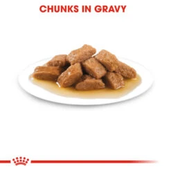 ROYAL CANIN® Medium Ageing 10+ Senior In Gravy Wet Dog Food 15 ROYAL CANIN® Medium Ageing 10+ Senior In Gravy Wet Dog Food -Danish Design || Scruffs || Great&Small Sales bpjwi69kslqcnub8pntn