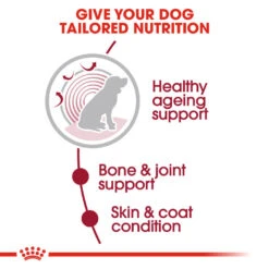 ROYAL CANIN® Medium Ageing 10+ Senior In Gravy Wet Dog Food 16 ROYAL CANIN® Medium Ageing 10+ Senior In Gravy Wet Dog Food -Danish Design || Scruffs || Great&Small Sales btkp5enrqtymjhs3az08