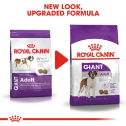 ROYAL CANIN® Giant Adult Dry Dog Food -Danish Design || Scruffs || Great&Small Sales c5og9txwaozqlrbt4can