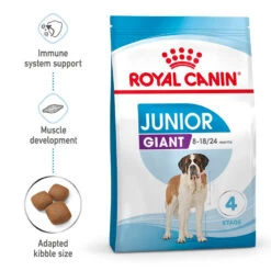 ROYAL CANIN® Giant Junior Puppy Dry Food 14 ROYAL CANIN® Giant Junior Puppy Dry Food -Danish Design || Scruffs || Great&Small Sales c7uucvv2oachtelysx9s