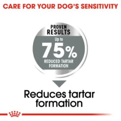 ROYAL CANIN® Maxi Large Breed Dental Care Adult Dry Dog Food -Danish Design || Scruffs || Great&Small Sales cbpficsm9raavkgnbujx