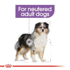 ROYAL CANIN® Medium Sterilised Care Adult Dry Dog Food 13 ROYAL CANIN® Medium Sterilised Care Adult Dry Dog Food -Danish Design || Scruffs || Great&Small Sales cbydblq4jtoamdmuo43g
