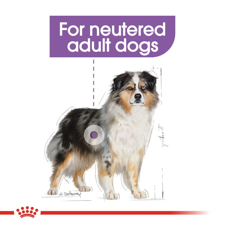 ROYAL CANIN® Medium Sterilised Care Adult Dry Dog Food 5 ROYAL CANIN® Medium Sterilised Care Adult Dry Dog Food - Image 3