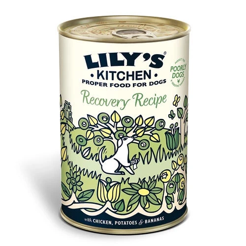 6 X Lily's Kitchen Dog Food Wet Can Recovery Recipe 400g 3 6 X Lily's Kitchen Dog Food Wet Can Recovery Recipe 400g