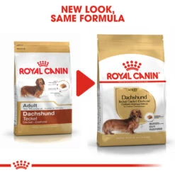 ROYAL CANIN® Dachshund Adult Dry Dog Food 15 ROYAL CANIN® Dachshund Adult Dry Dog Food -Danish Design || Scruffs || Great&Small Sales dxtgks00a1y3y3clf6ns