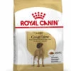 ROYAL CANIN® Great Dane Adult Dry Dog Food 2 ROYAL CANIN® Great Dane Adult Dry Dog Food -Danish Design || Scruffs || Great&Small Sales e0ss968a8heapxmtnw3y