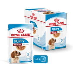 ROYAL CANIN® Medium Puppy In Gravy Wet Food 15 ROYAL CANIN® Medium Puppy In Gravy Wet Food -Danish Design || Scruffs || Great&Small Sales ehs6u9upvlgtsagqvk0b