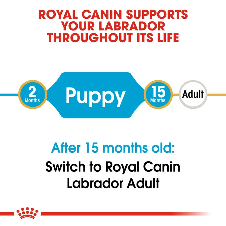 ROYAL CANIN® Labrador Retriever Puppy Dry Food 5 ROYAL CANIN® Labrador Retriever Puppy Dry Food - Image 3