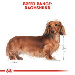 ROYAL CANIN® Dachshund Adult Dry Dog Food 12 ROYAL CANIN® Dachshund Adult Dry Dog Food -Danish Design || Scruffs || Great&Small Sales etrtqjfchfgo1gmgljum